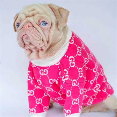 pink gucci dog clothes